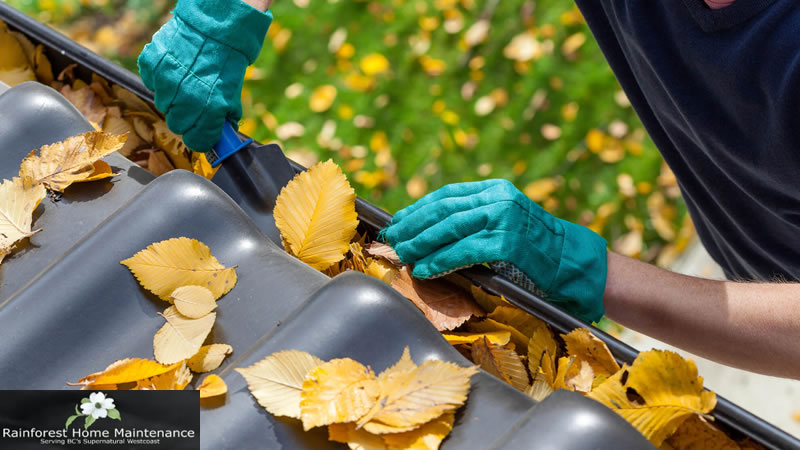 Gutter Cleaning and Repair | for affordable gutter cleaning and repair | gutter cleaning and repair near me | gutter cleaning and repair cost | rain gutter cleaning and repair near me