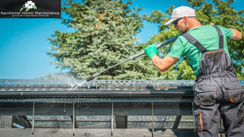 Gutter Cleaning and Repair | for affordable gutter cleaning and repair | gutter cleaning and repair near me | gutter cleaning and repair cost | rain gutter cleaning and repair near me